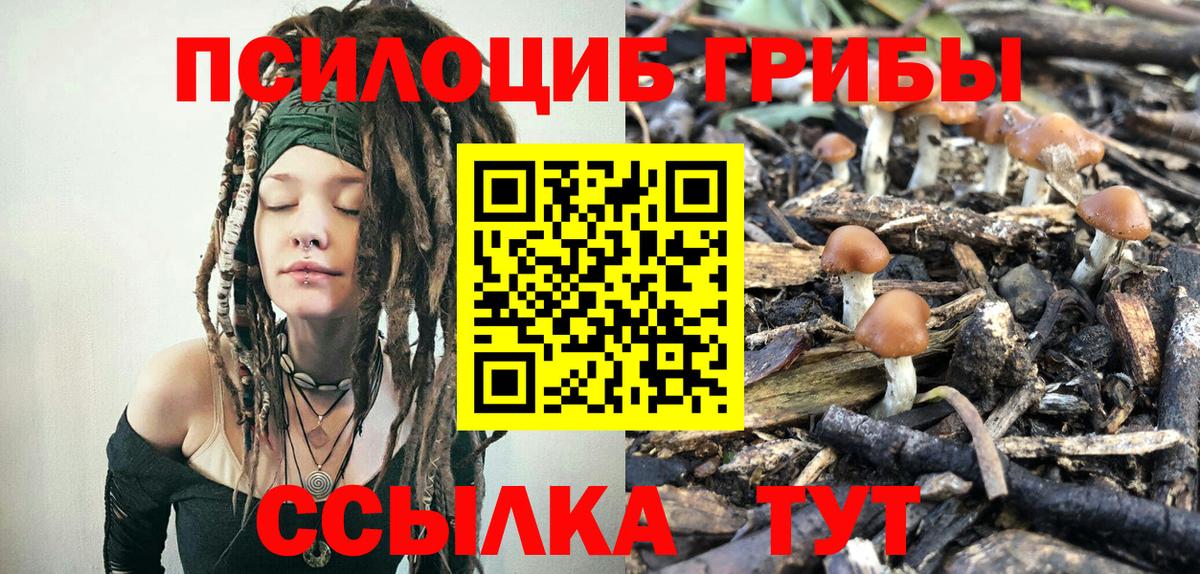 Псилоцибиновые грибы Cubensis  Вход с VPN  Петровск 